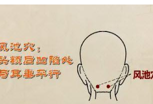 ׵ҽѨλƷ